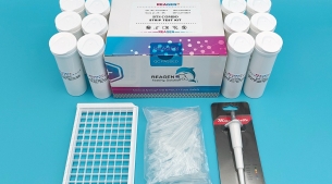 氟喹喏酮（肉類）快速檢測試紙條